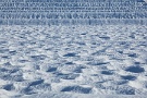 02 秩父市太田は秩父では珍しく水田が広がり、雪のあとは面白い表情が窺えます。Canon EOS 5D Mark II
Canon EF70〜200mm F4