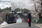 06 SL列車を見送る桜満開の浦山口駅の駅長さんです。Canon EOS 5D Mark II
Canon EF24〜105mm F4