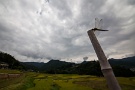 07 秋霖のどんよりした曇り空に赤とんぼがしきりに飛んでいました。Canon EOS 5D Mark II
SIGMA12〜24mm F4.5-5.6 II