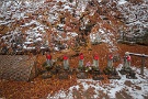 02 札所八番・西善寺のこみねもみじも雪化粧。紅葉は終わり際ですが、紅葉に雪が降った姿は初めてみました。Canon EOS 5D Mark II
SIGMA12〜24mm F4.5-5.6 II