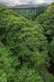 02 安谷川渓谷も濃い緑に覆われています。SONY α7II　
SIGMA12〜24mm F4.5-5.6 II