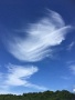 03 こんな綺麗な巻雲も見られました。まさに絹雲ですね。iPhoneにて撮影