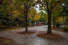 03 そんな秋深まる公園の一コマです。Canon EOS 5D Mark II　Canon EF70〜200mmF4