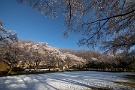 09 春の雪は夢の如く儚いものでした。Canon EOS 5D Mark IV　SIGMA12〜24mm