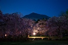 01 今日は4月15日に撮影した羊山公園の夜桜をお楽しみください。Canon EOS 5D Mark II　Canon EF24〜105mmF4