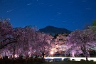 05 明日はとっておきの夜桜をお送りします。Canon EOS 5D Mark II　Canon EF24〜105mmF4