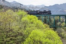 01 秩父の里は一気に新緑に覆われてきました。今日は昨日、今日撮影した新緑の中を駆け抜けるSLをお楽しみください。下り、武州日野駅手前・安谷川橋梁　Canon EOS 5D Mark IV　Canon EF24〜105mmF4