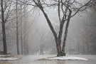 08 公園は人影もなくただ、春の雪が舞います。Canon EOS 5D Mark IV　Canon EF70〜200mmF4