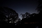 01 外出自粛の週末ですが、今日は先日撮影した清雲寺の夜桜をお楽しみ下さい。まずは灯りなしの星空です。Canon EOS 5D Mark IV　SIGMA 12-24mm F4.5-5.6 II DG HSM