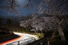 09 夜桜です。車のライトにいい塩梅に照らされました。Canon EOS 5D Mark II　Canon EF17〜40mmF4