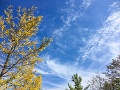 04 今朝は秩父盆地は雲海で包まれた様です。もちろん私は寝てました(^_^;)  これから雲海の季節ですので、１度くらいは撮影できるかな… iPhone SE