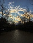 03 今日のミューズパークの夕暮れです。冬の夕暮れの様な雲でした。そういえば今日はもう立冬ですね。ちなみに私は紫式部派です(^ ^) iPhone SE