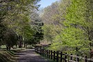 01 気がつけば早くも新緑の季節。今日は先週撮影した新緑まぶしい景色をお楽しみください。Canon EOS 5D Mark IV　Canon EF70〜200mmF4