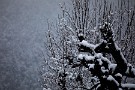 01 昨日の秩父地方は今シーズン初の本格的な的な積雪となりました。Canon EOS 5D Mark IV　Canon EF300mmF4