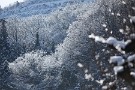 03 昔は雪というとワクワクしましたが、2014年の大雪以来ワクワクどころかガクガクします((((；ﾟДﾟ))))))) まっ、これくらいの雪なら良いですね。Canon EOS 5D Mark IV　Canon EF300mmF4