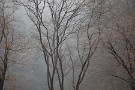 01 前回の続きです。木々に積もる雪はすぐに水滴となって、木々を潤しているようでした。Canon EOS 5D Mark IV　Canon EF70〜200mmF4