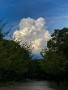 01 連日の猛暑日、皆様いかがお過ごしでしょうか。8月は仕事が忙しくなかなか撮影にもいけませんが、今日はジョギングがてら撮影した夏空をお送りします。夏といえば雄大な入道雲。夕日に輝く姿が印象的です。雲の下はそれどころではありませんね。 iPhone SE