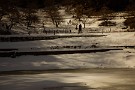 09 雪と戯れる静かな春待つ午後です。Canon EOS 5D Mark IV　Canon EF24〜105mmF4