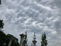10 オマケです。昨日ジョギング中に乳房雲が見られたので撮っておきました。雲内の下降気流と雲の下の上昇気流がぶつかってできるそうです。あまり見かけない珍しい雲です。iPhone SE