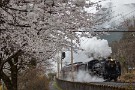 04 こんな天気だと桜はあまり綺麗に写りませんが、白煙や蒸気は迫力が増します。晴れた日はその逆なのでうまくいかないものです。Canon EOS 5D Mark IV　Canon EF70〜200mmF4