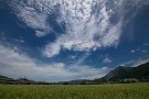 10 蕎麦の花は終わり際。余談ですが、今年は5月の天気が良かったせいかジャガイモが豊作でした。今年いっぱい食べられそうです^^; Canon EOS 5D Mark IV　SIGMA 12-24mm F4.5-5.6 II DG HSM