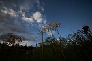 04 秋とは名ばかりの暑さです(^^;; 　Canon EOS 5D Mark IV　SIGMA 12-24mm F4.5-5.6 II DG HSM