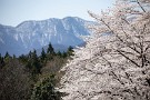 07 山には先週の雪がまだ残っています。Canon EOS 5D Mark IV　SIGMA 150-600mm F5-6.3 DG OS HSM Contemporary