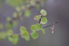 10 Canon EOS 5D Mark IV　Canon EF300mmF4