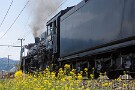 03 昨日の秩父地方は最高気温が29.2℃と夏のような陽気でした。Canon EOS 5D Mark IV　Canon EF24〜105mmF4