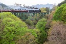 06 新緑眩しい安谷川橋梁です。ちなみに今日の影森登りは元気に登っていたのでまあ大丈夫でしょう。Canon EOS 5D Mark II　Canon EF24〜105mmF4