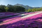 10 本当は昨日の雨で雲海が発生し、霧に包まれた武甲山を期待しましたが不発でした^^; 荒川を中心に雲海は発生しましたがこちらまでは来ませんでした。Canon EOS 5D Mark IV　Canon EF24〜105mmF4