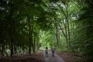 02 標準レンズですがF1.4の被写界深度の浅い、柔らかい独特の描写が新鮮です。Canon EOS 5D Mark IV　Canon EF50mmF1.4