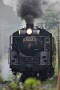 02 もうだいぶ過去のようですが、6月も上旬は梅雨空でした。^^; 　Canon EOS 5D Mark IV　SIGMA 150-600mm F5-6.3 DG OS HSM Contemporary