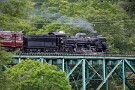 10 深緑の安谷川橋梁を行きます。Canon EOS 5D Mark IV　SIGMA 150-600mm F5-6.3 DG OS HSM Contemporary