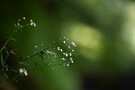 10 まだ7月も上旬ですが、これからが夏本番…勘弁してください(^^;; 　Canon EOS 5D Mark IV　Canon EF300mmF4