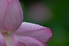 05 Canon EOS 5D Mark IV　Canon EF300mmF4