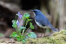 12 男の子だって花と一緒に^^; Canon EOS 5D Mark IV　SIGMA 150-600mm F5-6.3 DG OS HSM Contemporary