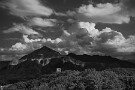 04 赤外写真風に手前の緑をやや白くしてみました。Canon EOS 5D Mark IV　Canon EF24〜105mmF4