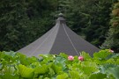 01 夏も終わりですが、今になって札所二十五番久昌寺の弁天池のハスが見頃となっています。Canon EOS 5D Mark IV　SIGMA 150-600mm F5-6.3 DG OS HSM Contemporary