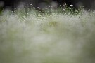 07 台風が心配なシルバーウィークです。Canon EOS 5D Mark IV　SIGMA 150-600mm F5-6.3 DG OS HSM Contemporary
