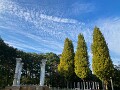 01 ３連休最終日、午後秩父ミューズパークにジョギングに行くと綺麗な鰯雲が流れていました。今日の撮影は全てiPhone SEです。